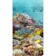 Tile mural with tropical fish, coral reef, and sea turtle